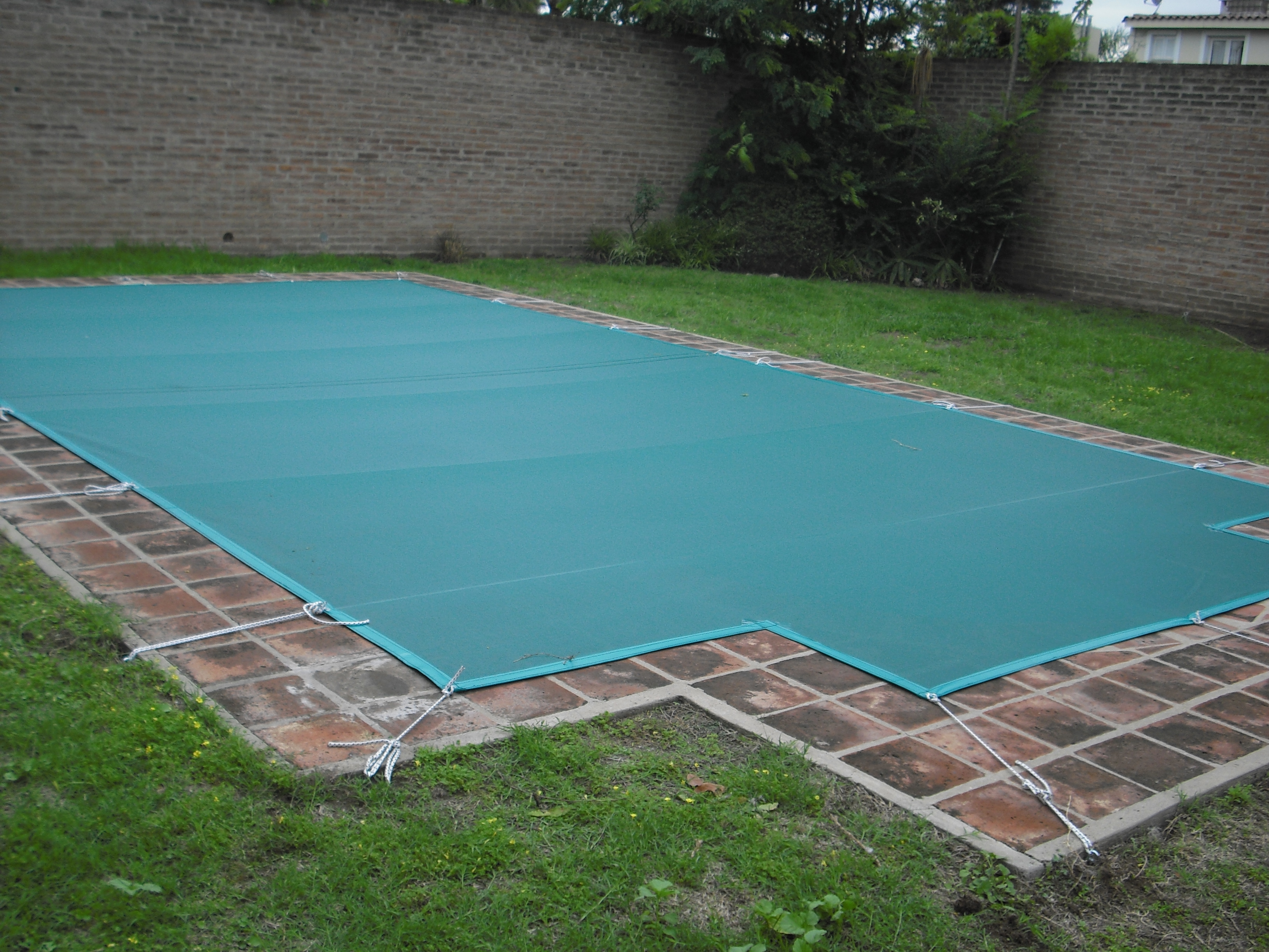 Proyecto 1